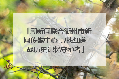 潮新闻联合衢州市新闻传媒中心 寻找细菌战历史记忆守护者