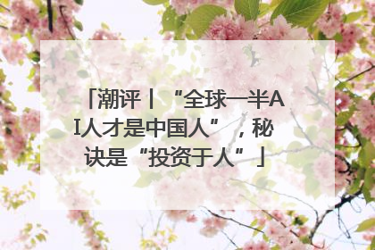 潮评丨“全球一半AI人才是中国人”，秘诀是“投资于人”