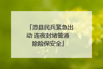 澧县民兵紧急出动 连夜封堵管涌除险保安全