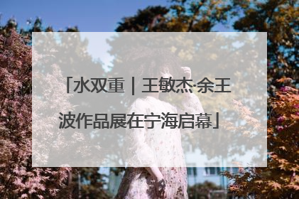 水双重｜王敏杰·余王波作品展在宁海启幕