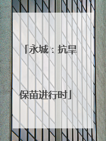 永城：抗旱保苗进行时
