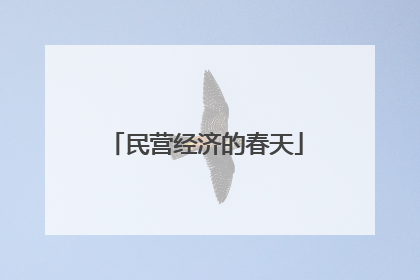 民营经济的春天