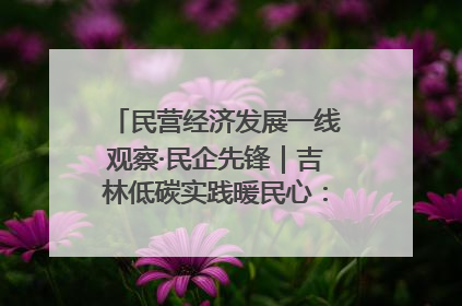民营经济发展一线观察·民企先锋｜吉林低碳实践暖民心：太阳能供暖技术为北方清洁取暖破局