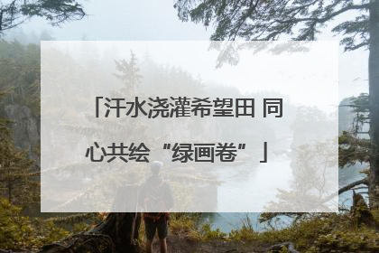 汗水浇灌希望田 同心共绘“绿画卷”