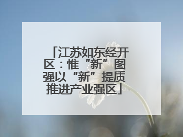 江苏如东经开区：惟“新”图强以“新”提质推进产业强区