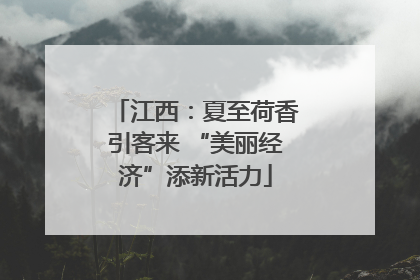 江西：夏至荷香引客来 “美丽经济”添新活力
