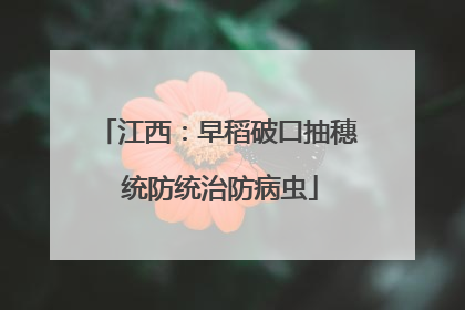 江西：早稻破口抽穗 统防统治防病虫