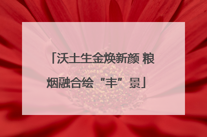 沃土生金焕新颜 粮烟融合绘“丰”景
