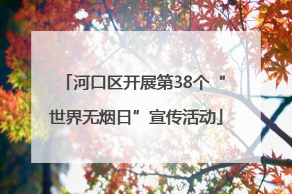 河口区开展第38个“世界无烟日”宣传活动