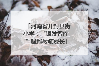 河南省开封县街小学：“银发智库”赋能教师成长