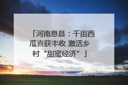 河南息县：千亩西瓜喜获丰收 激活乡村“甜蜜经济”