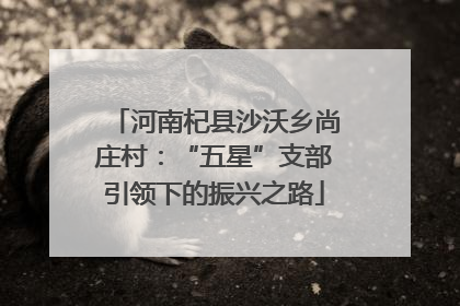 河南杞县沙沃乡尚庄村：“五星”支部引领下的振兴之路