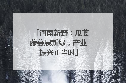 河南新野：瓜蒌藤蔓展新绿，产业振兴正当时