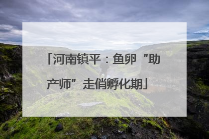 河南镇平：鱼卵“助产师”走俏孵化期