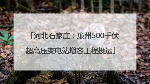河北石家庄：廉州500千伏超高压变电站增容工程投运