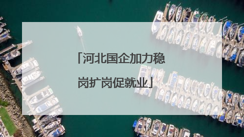 河北国企加力稳岗扩岗促就业