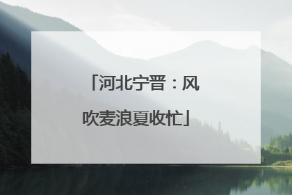 河北宁晋：风吹麦浪夏收忙