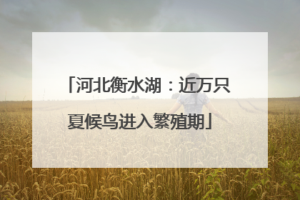 河北衡水湖：近万只夏候鸟进入繁殖期
