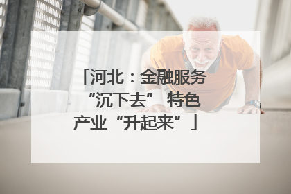 河北：金融服务“沉下去” 特色产业“升起来”