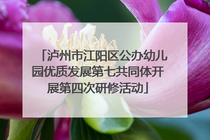 泸州市江阳区公办幼儿园优质发展第七共同体开展第四次研修活动