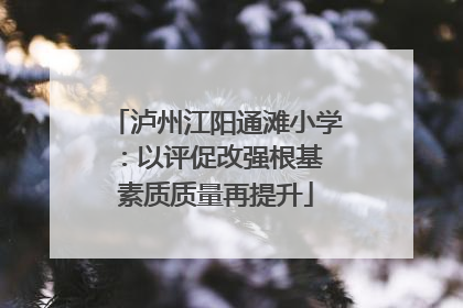 泸州江阳通滩小学：以评促改强根基 素质质量再提升