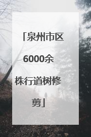 泉州市区6000余株行道树修剪