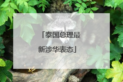 泰国总理最新涉华表态