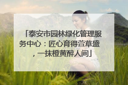 泰安市园林绿化管理服务中心：匠心育得萱草盛，一抹橙黄醉人间