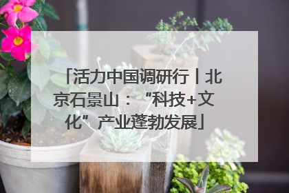 活力中国调研行丨北京石景山：“科技+文化”产业蓬勃发展