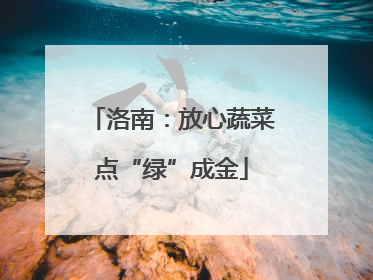 洛南：放心蔬菜点“绿”成金