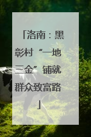 洛南：黑彰村“一地三金”铺就群众致富路