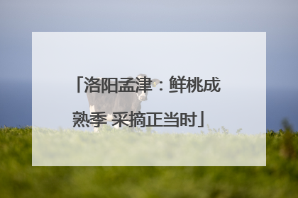 洛阳孟津：鲜桃成熟季 采摘正当时