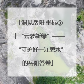 洞见岳阳·坐标③丨“云梦新绿”——“守护好一江碧水”的岳阳答卷