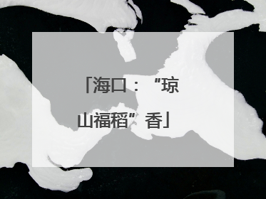 海口：“琼山福稻”香