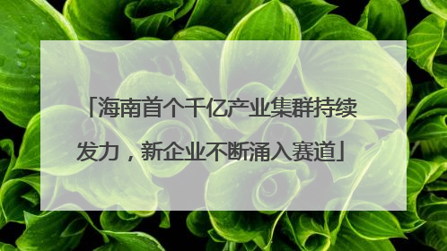 海南首个千亿产业集群持续发力，新企业不断涌入赛道