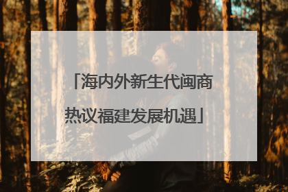 海内外新生代闽商热议福建发展机遇