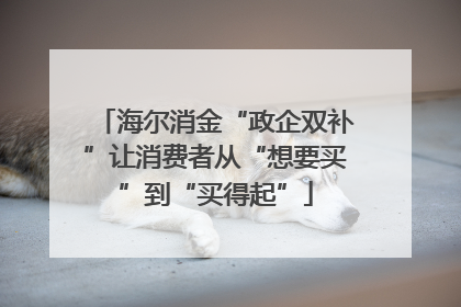 海尔消金“政企双补”让消费者从“想要买”到“买得起”
