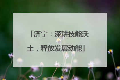 济宁：深耕技能沃土，释放发展动能