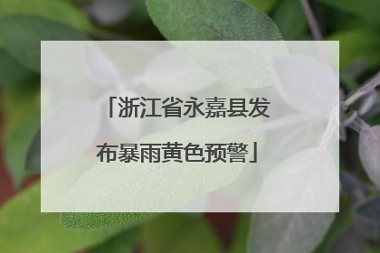 浙江省永嘉县发布暴雨黄色预警