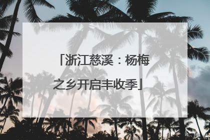 浙江慈溪：杨梅之乡开启丰收季