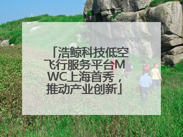 浩鲸科技低空飞行服务平台MWC上海首秀，推动产业创新