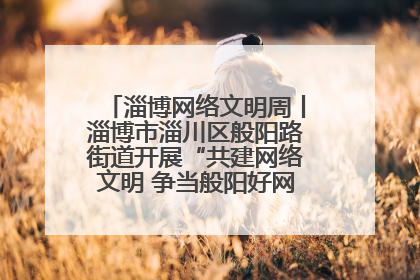 淄博网络文明周丨淄博市淄川区般阳路街道开展“共建网络文明 争当般阳好网民”主题宣讲活动