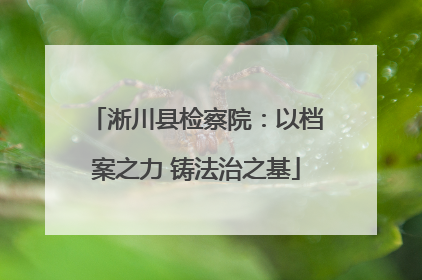 淅川县检察院：以档案之力 铸法治之基