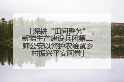 深耕“田间警务”，新疆生产建设兵团第二师公安以警护农绘就乡村振兴平安画卷
