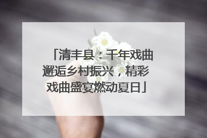 清丰县：千年戏曲邂逅乡村振兴，精彩戏曲盛宴燃动夏日
