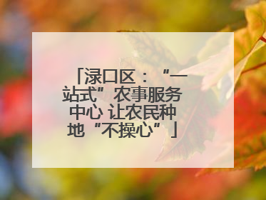渌口区：“一站式”农事服务中心 让农民种地“不操心”
