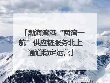 渤海湾港“两湾一航”供应链服务北上通道稳定运营