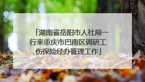 湖南省岳阳市人社局一行来重庆市巴南区调研工伤保险经办管理工作