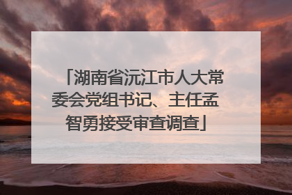 湖南省沅江市人大常委会党组书记、主任孟智勇接受审查调查