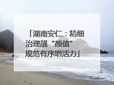 湖南安仁：精细治理靓“颜值” 规范有序增活力
